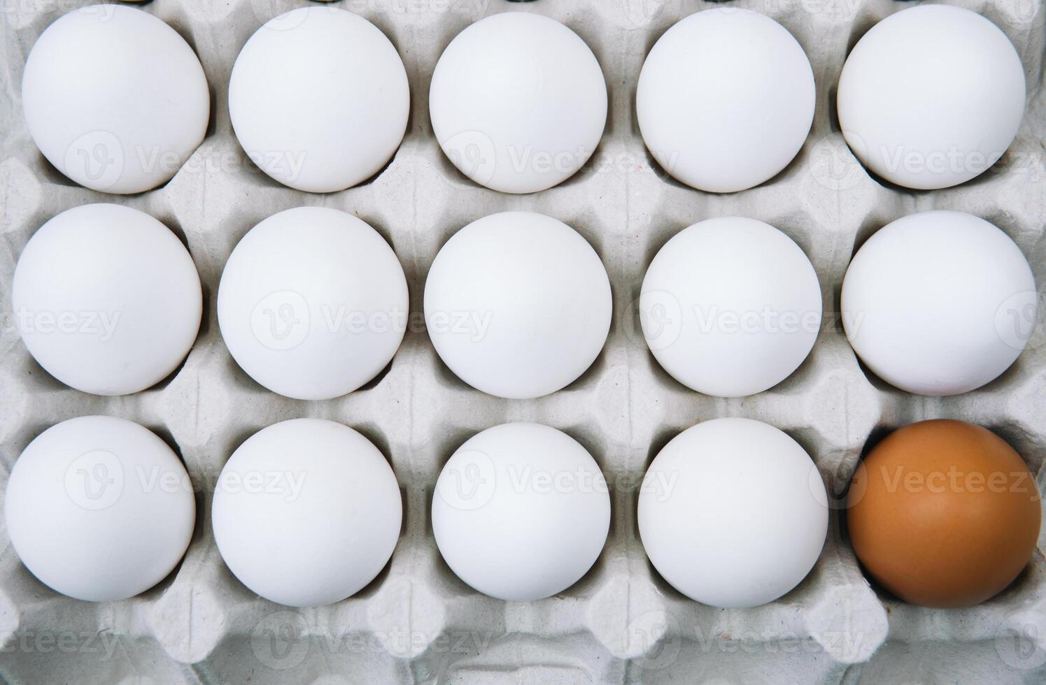 Fresh white chicken eggs and alone brown egg. Flat lay of raw chicken eggs in egg paper box. Top view natural organic egg. Healthy real food photo