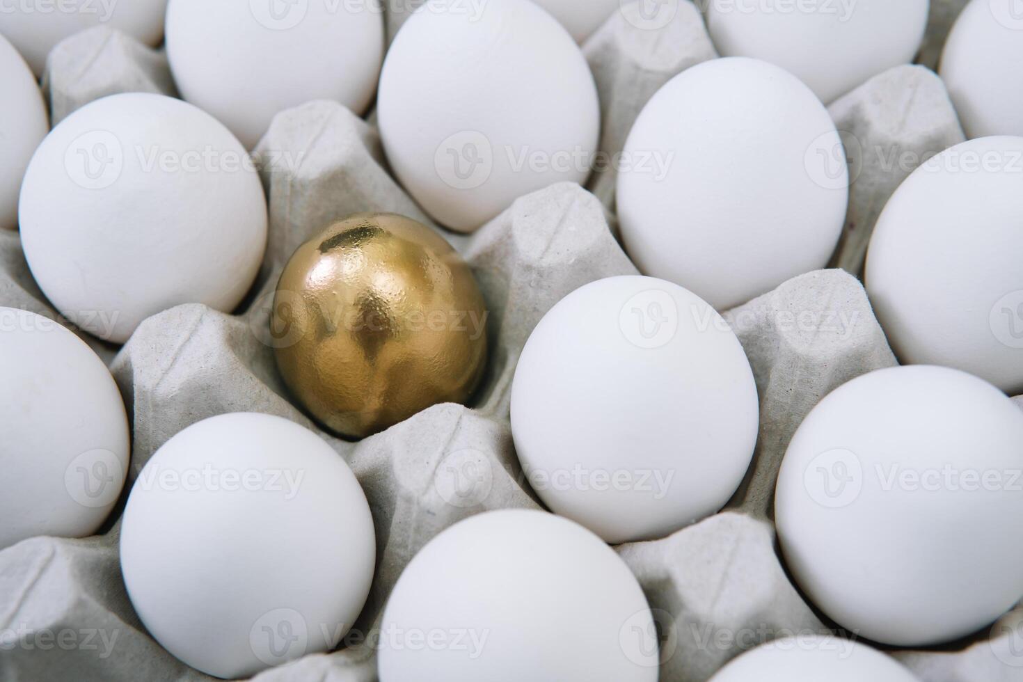 White raw chicken eggs and alone golden egg in a tray side view photo