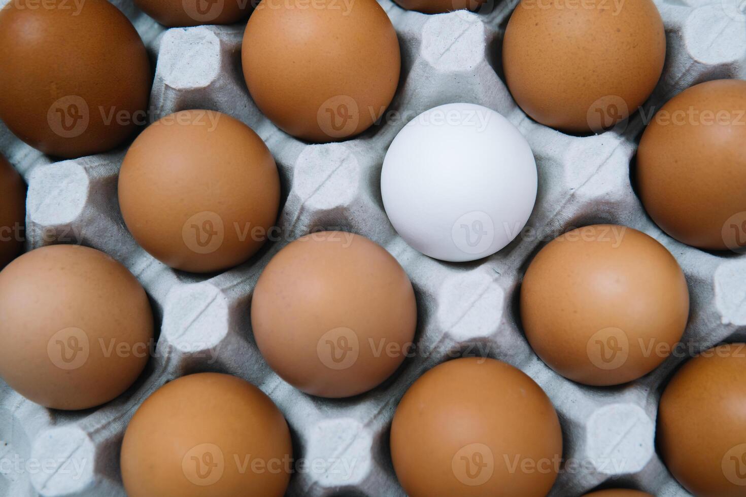 Flat lay of raw chicken eggs in egg paper box. Fresh brown chicken eggs and alone white egg photo