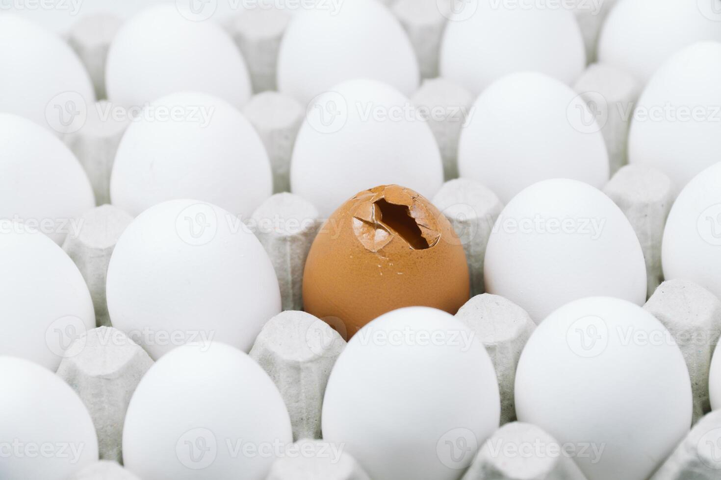 White raw chicken eggs and alone broken brown egg in a tray top view photo