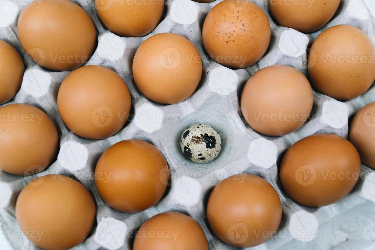 Brown raw chicken eggs and alone quail egg in a tray top view photo