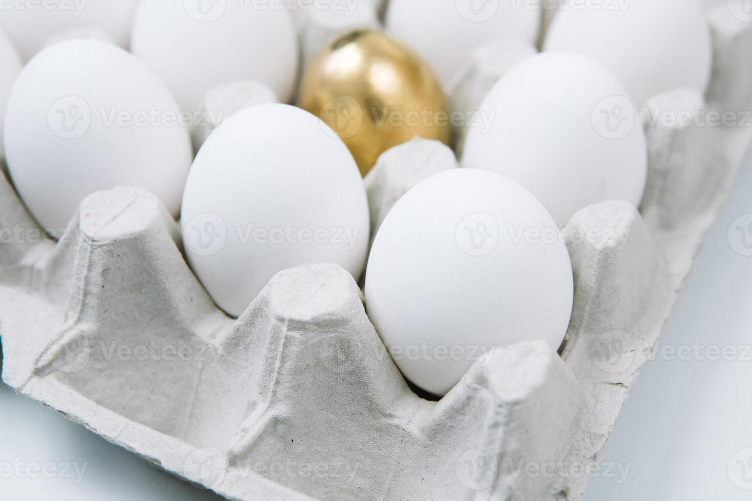 White raw chicken eggs and alone golden egg in a tray side view photo
