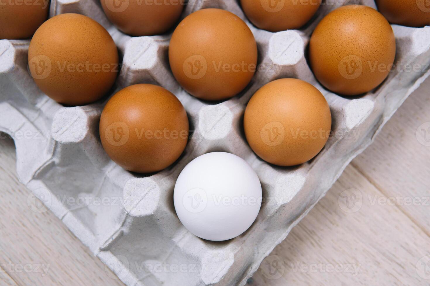 Brown raw chicken eggs and alone white egg in a tray side view photo