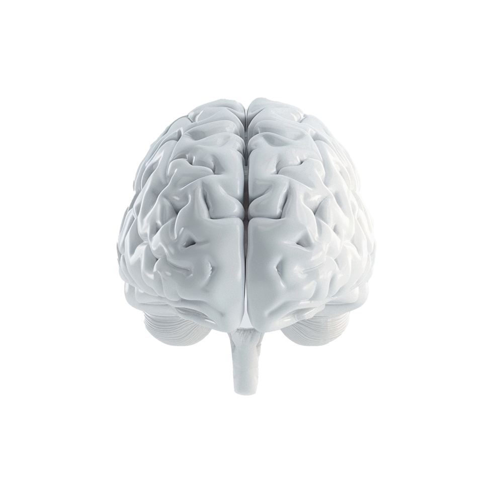 AI generated Colorful brain isolated on transparent background png