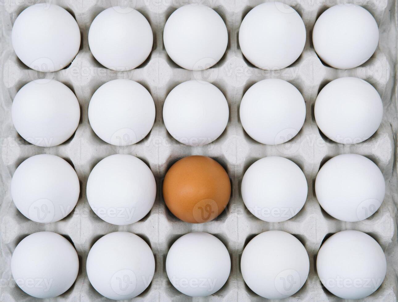 Fresh white chicken eggs and alone brown egg. Flat lay of raw chicken eggs in egg paper box. Top view natural organic egg. Healthy real food photo