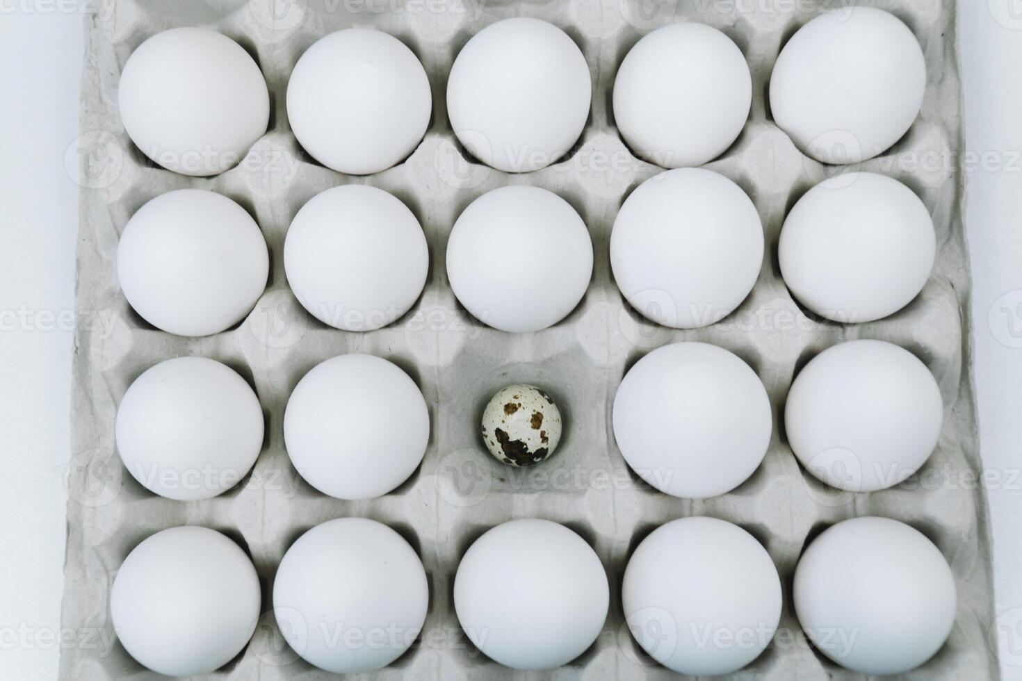 White raw chicken eggs and alone quail egg in a tray top view photo