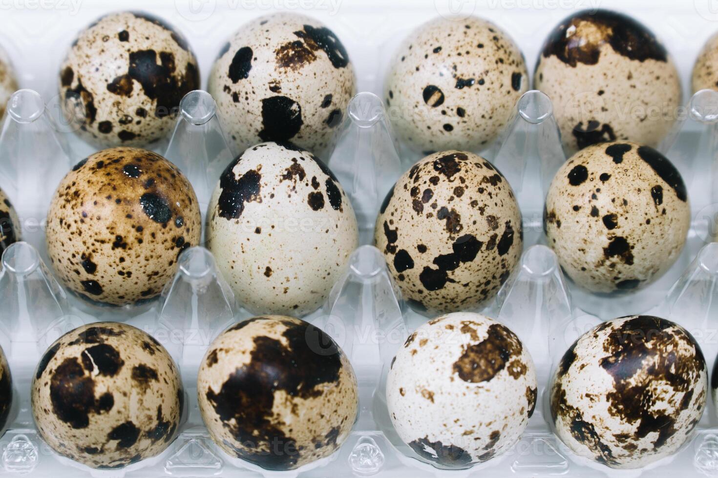 Flat lay of raw quail eggs in box. Top view natural organic egg. Healthy real food photo