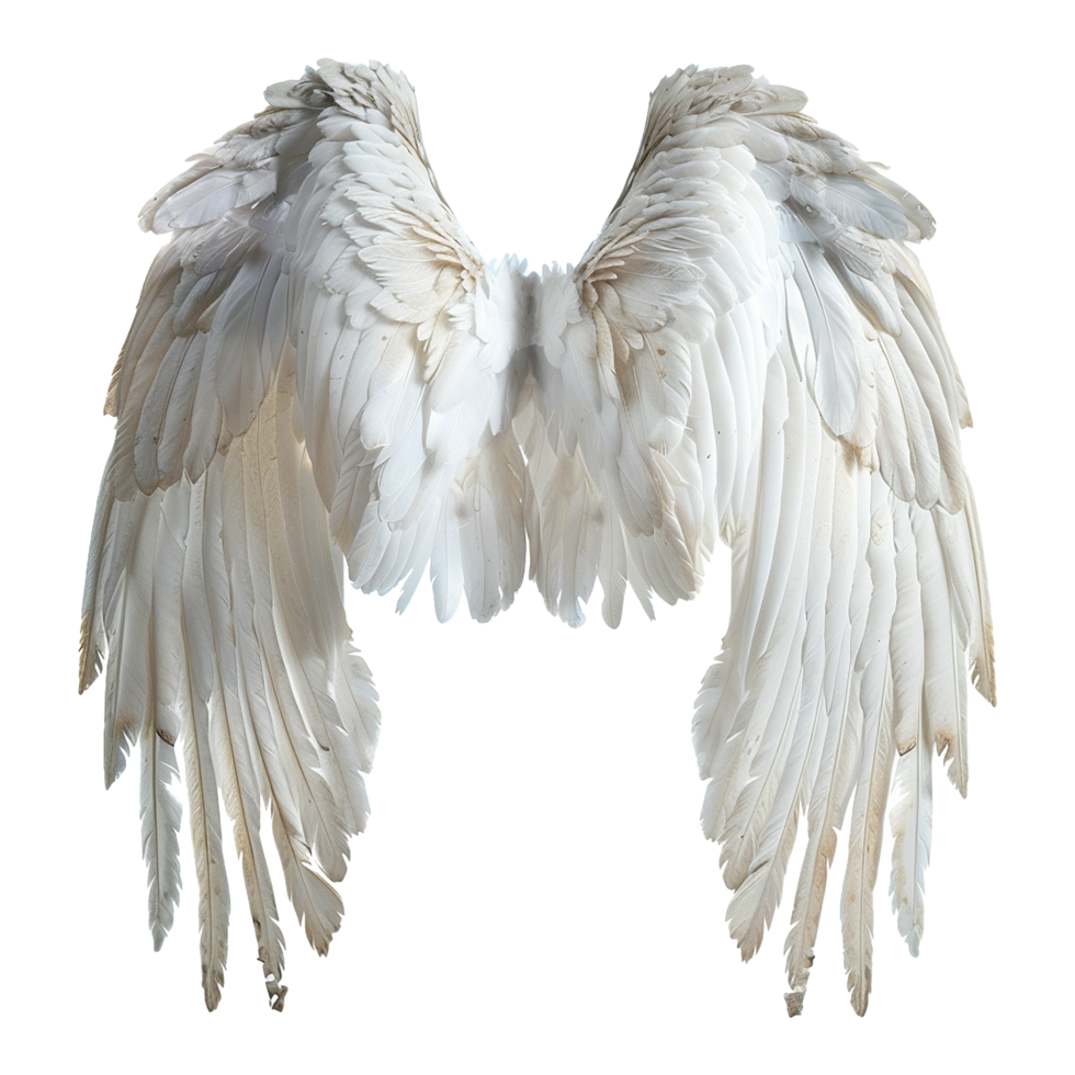 AI generated Angle wings isolated on transparent background png