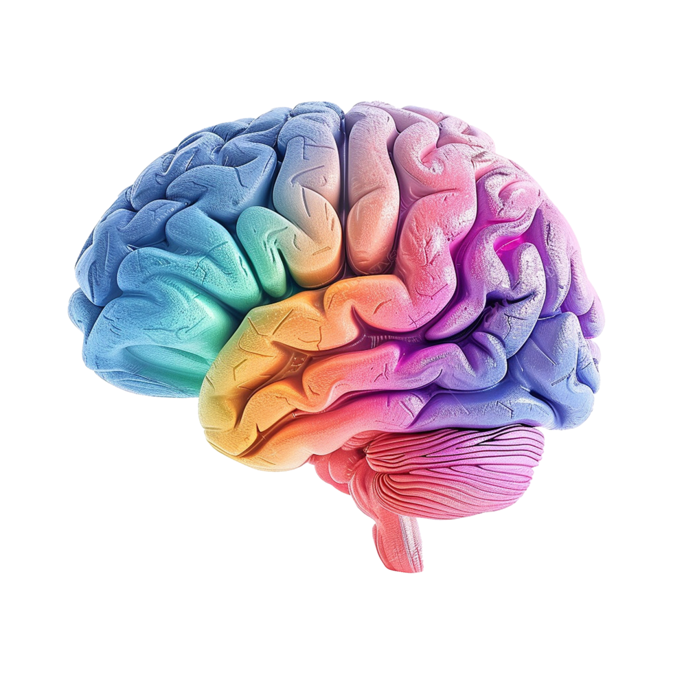AI generated Colorful brain isolated on transparent background png