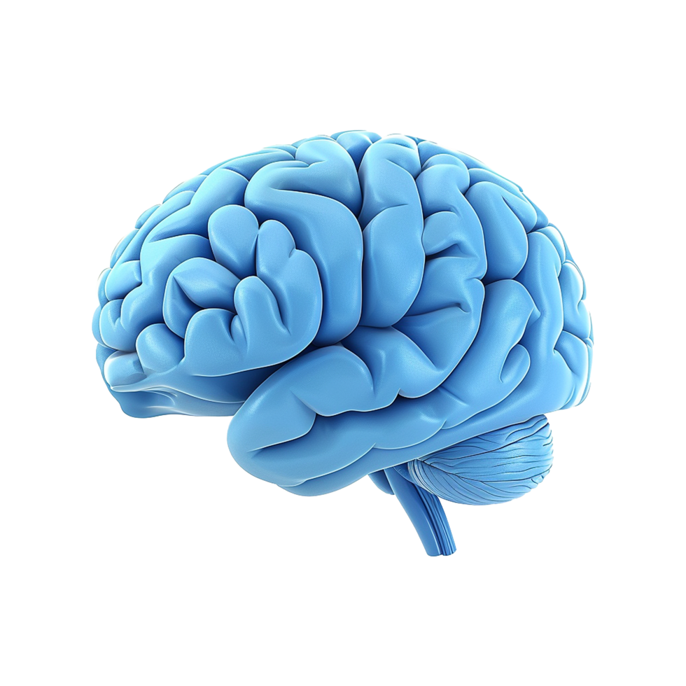 AI generated Colorful brain isolated on transparent background png