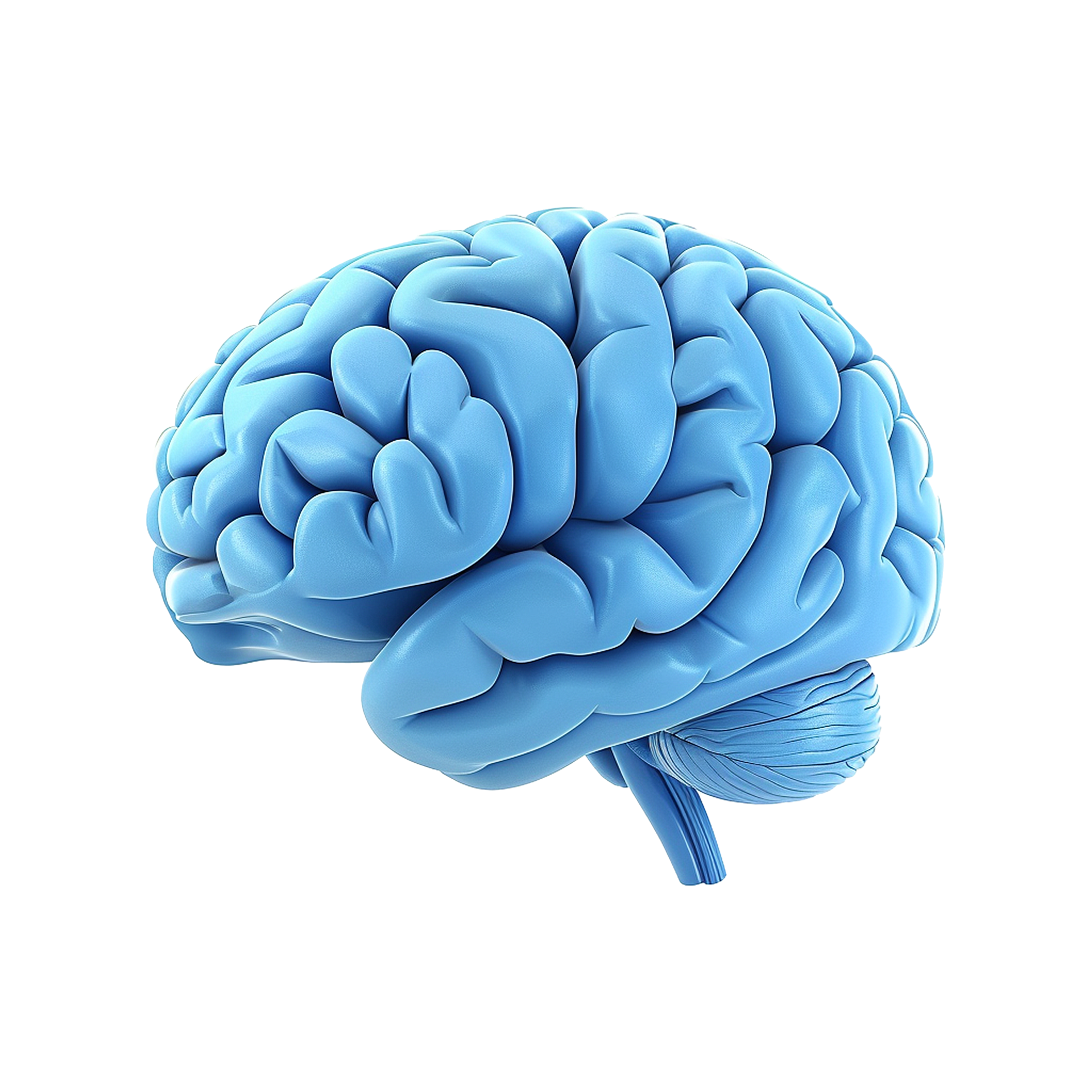 AI generated Colorful brain isolated on transparent background png