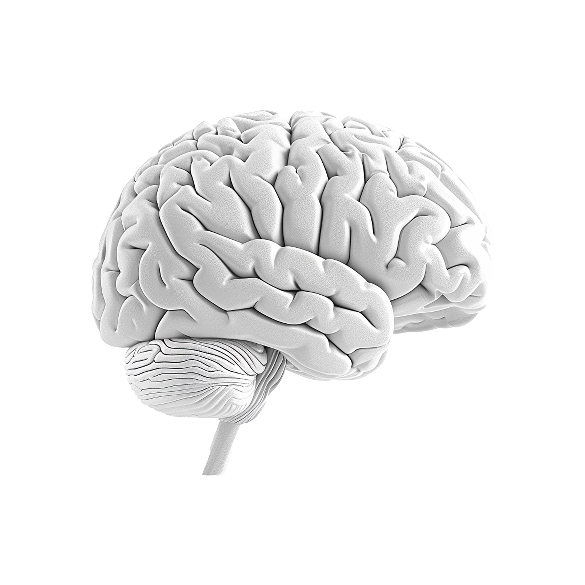 AI generated Colorful brain isolated on transparent background png