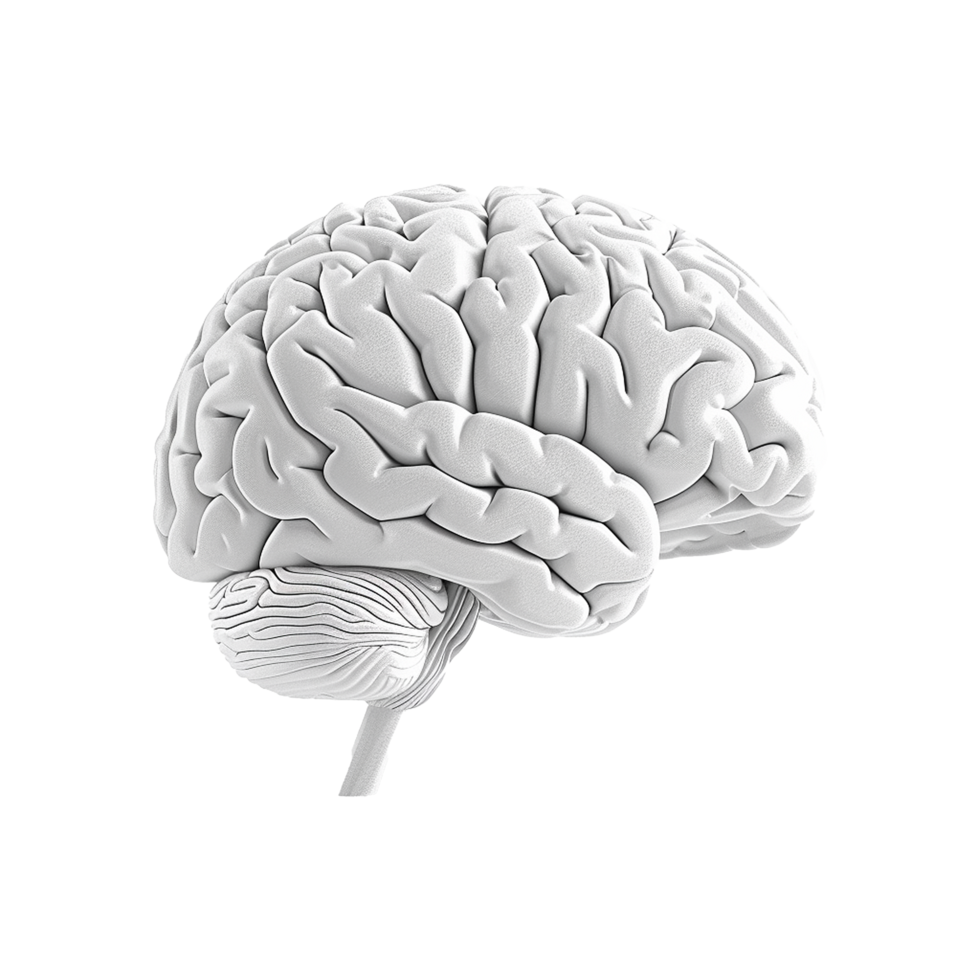 AI generated Colorful brain isolated on transparent background png