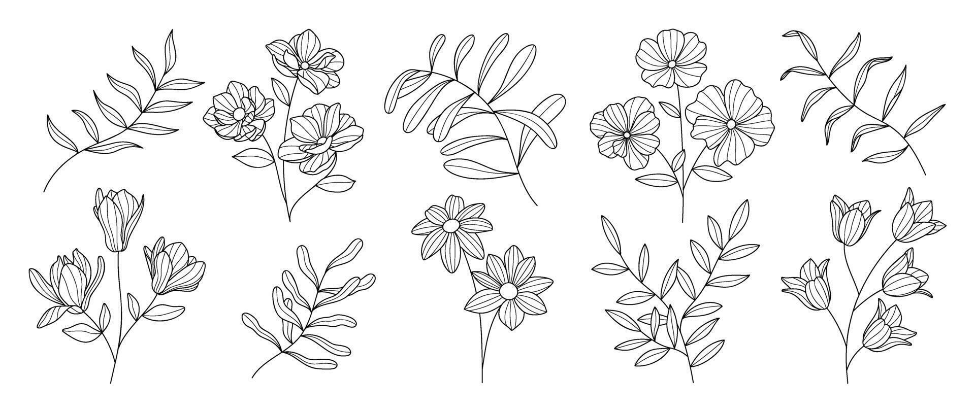 Set botanical hand drawn element vector. Collection of foliage, branch, floral, leaves, wildflower in line art. Minimal style blossom illustration design for logo, wedding, invitation, decor. vector