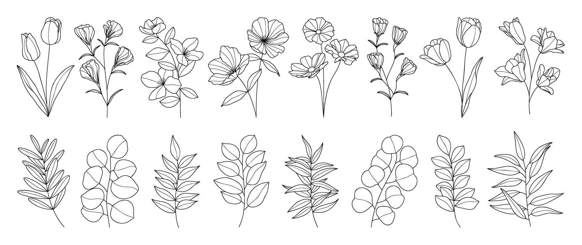 Set spring botanical hand drawn vector element. Collection of foliage, leaf branch, floral, flowers, eucalyptus in line art. Minimal style blossom illustration design for logo, wedding, invitation.