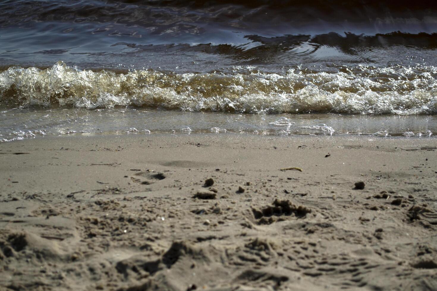Wet sand and soft waves on a beach. photo