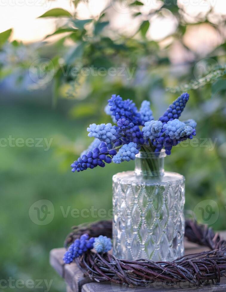 azul uva jacintos en un claro estampado florero en un tejido guirnalda, con un enfoque suave jardín antecedentes foto