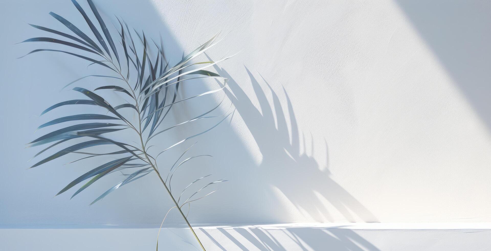 AI generated white wall with shadow of leaves and palm tree photo