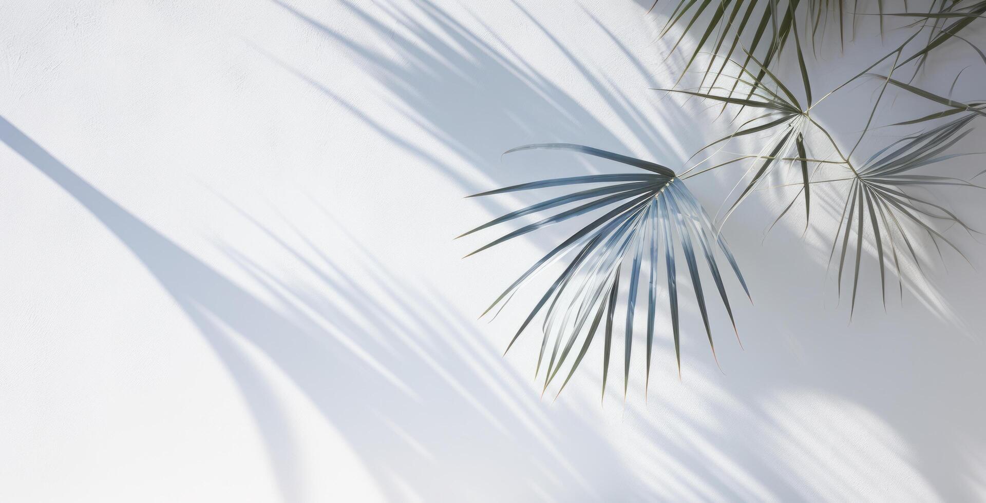 AI generated white wall with shadow of leaves and palm tree photo