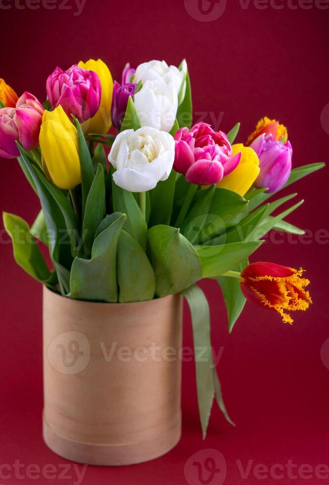 Bouquet of colorful tulips. Tulip spring flower. Floral flowers background photo