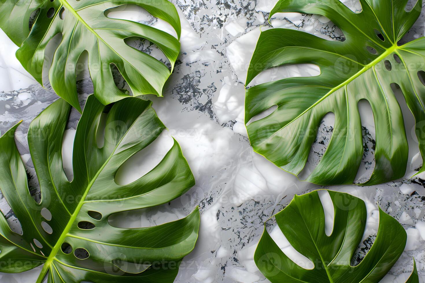 AI generated monstera leaves on marble background photo