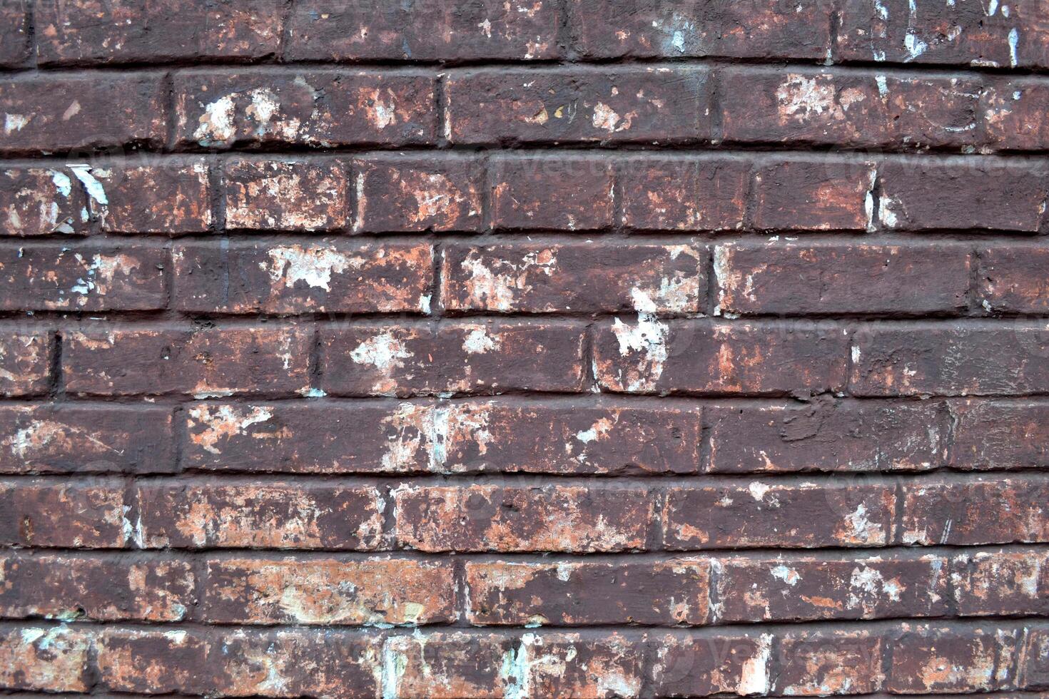 Old brick wall. Brick background. Grunge painted brick wall. photo