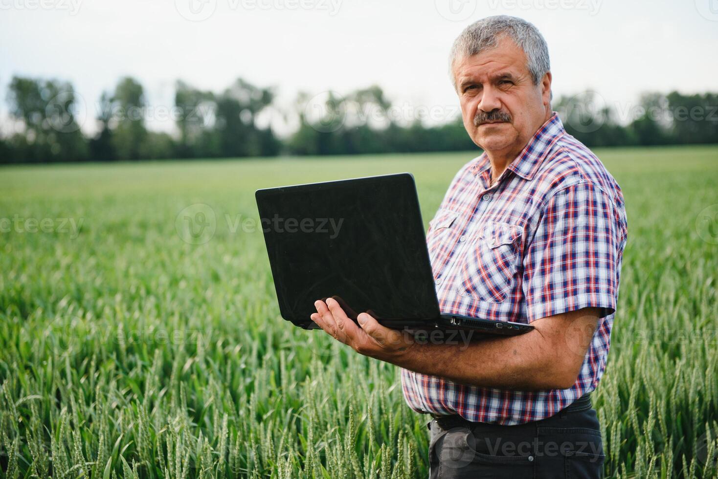 modern farmer checking his wheat field and working on laptop computer photo