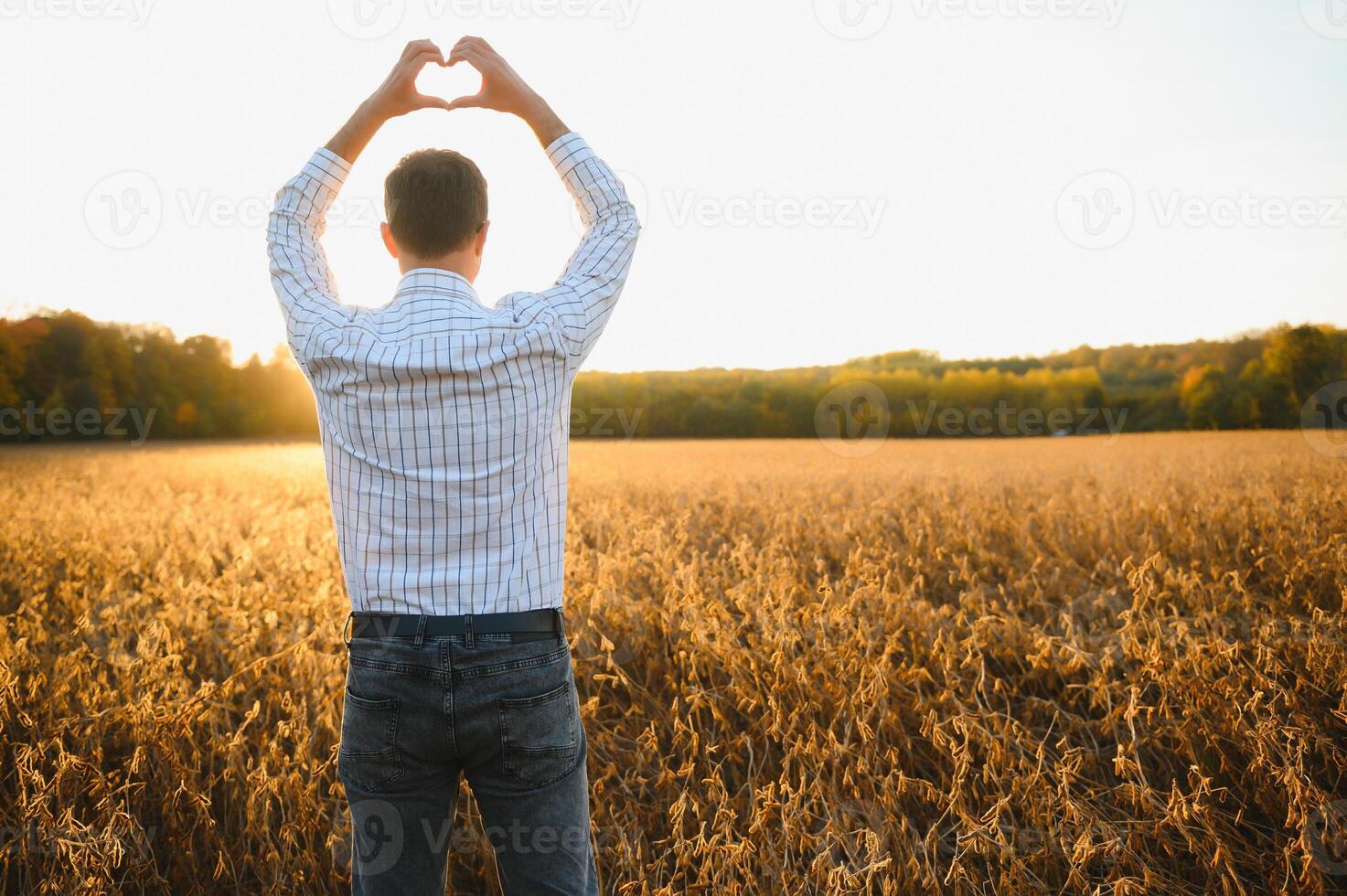 a happy farmer in a soybean field folds a heart from his hands above his head. photo