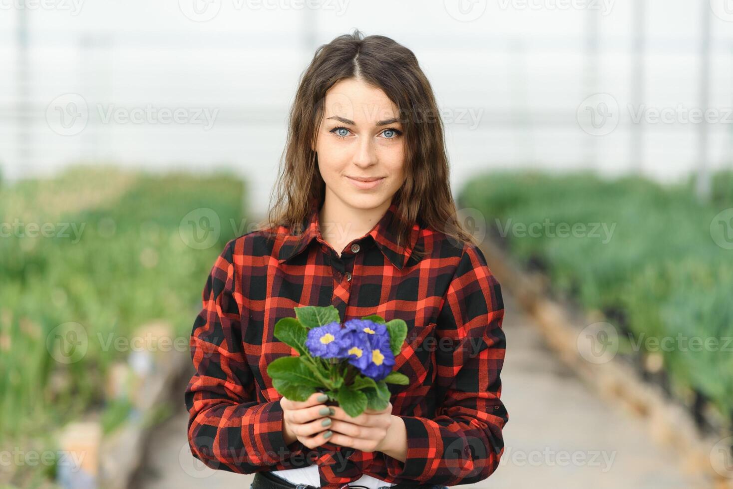 Beautiful young smiling girl, worker with flowers in greenhouse. Concept work in the greenhouse, flowers, tulips, box with flowers. Copy space. photo
