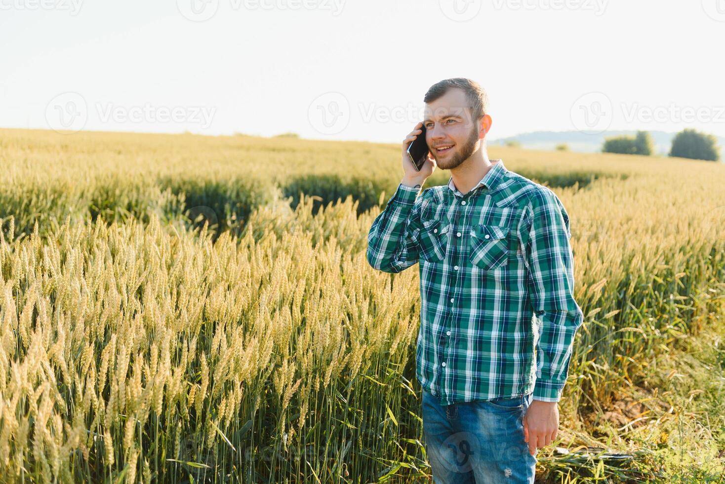 Young farmer in a wheat field before the harvest. photo