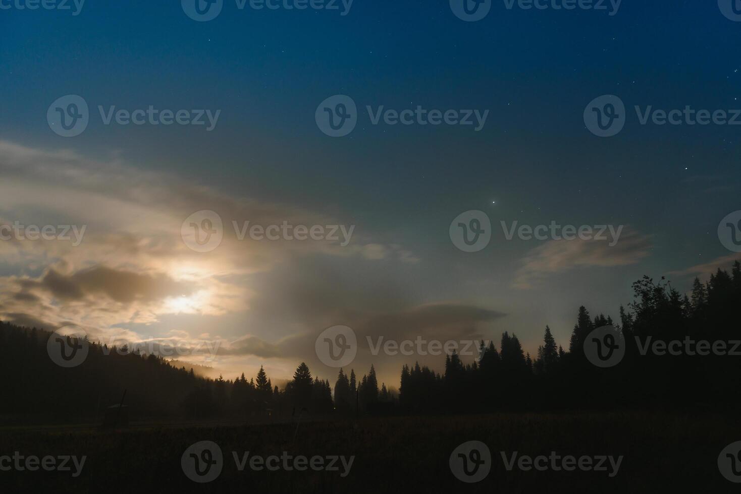 Forest against the background of the starry sky in the Carpathian mountains photo