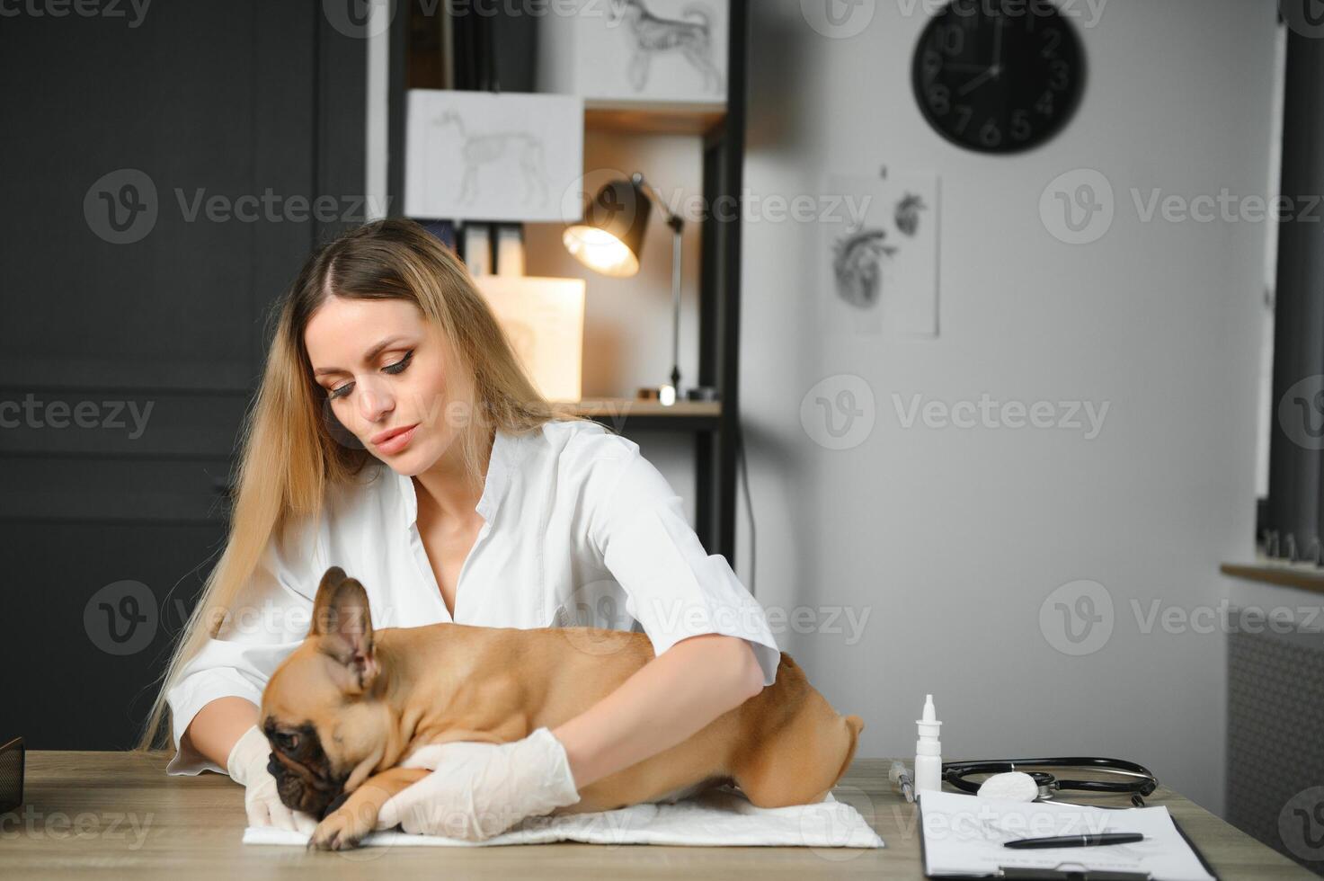 veterinario examinando linda perro en clínica foto