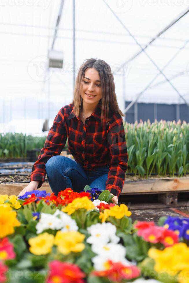 Beautiful young smiling girl, worker with flowers in greenhouse. Concept work in the greenhouse, flowers. photo