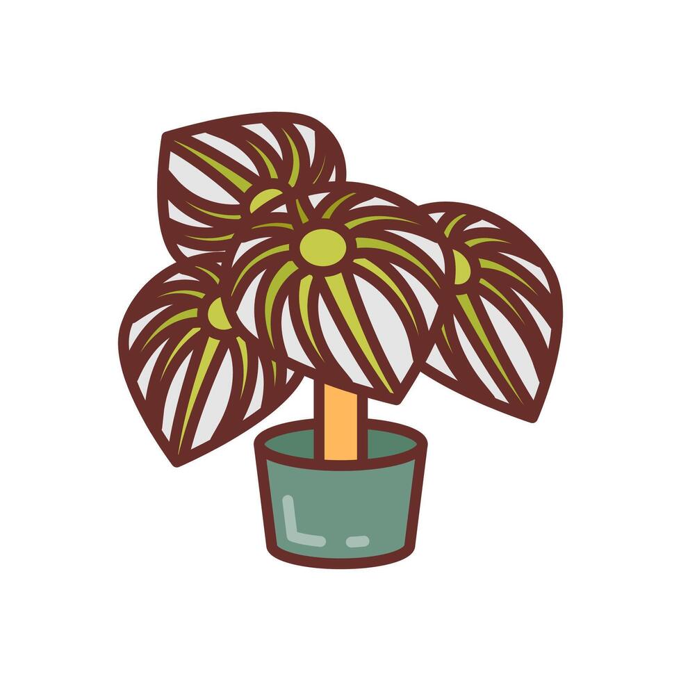 Peperomia icon in vector. Logotype vector