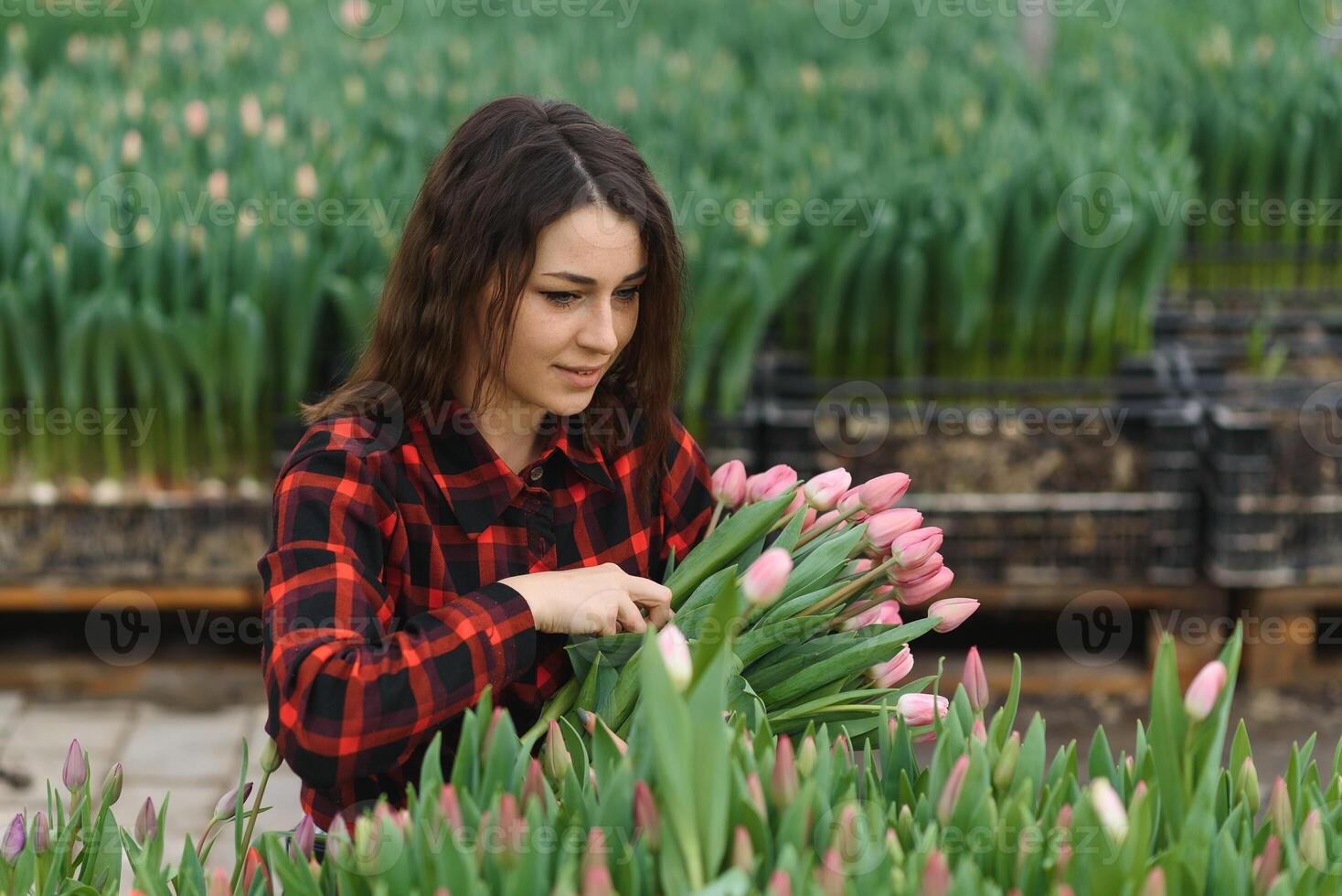 Young beautiful woman greenhouse worker holds a blooming tulips in her hands and smiles. photo