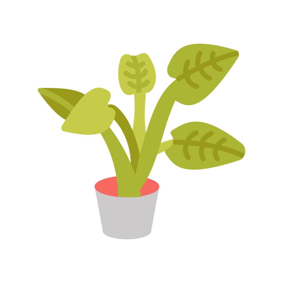 Alocasia Portadora icon in vector. Logotype vector