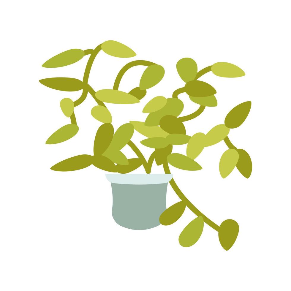 Wax Plant icon in vector. Logotype vector