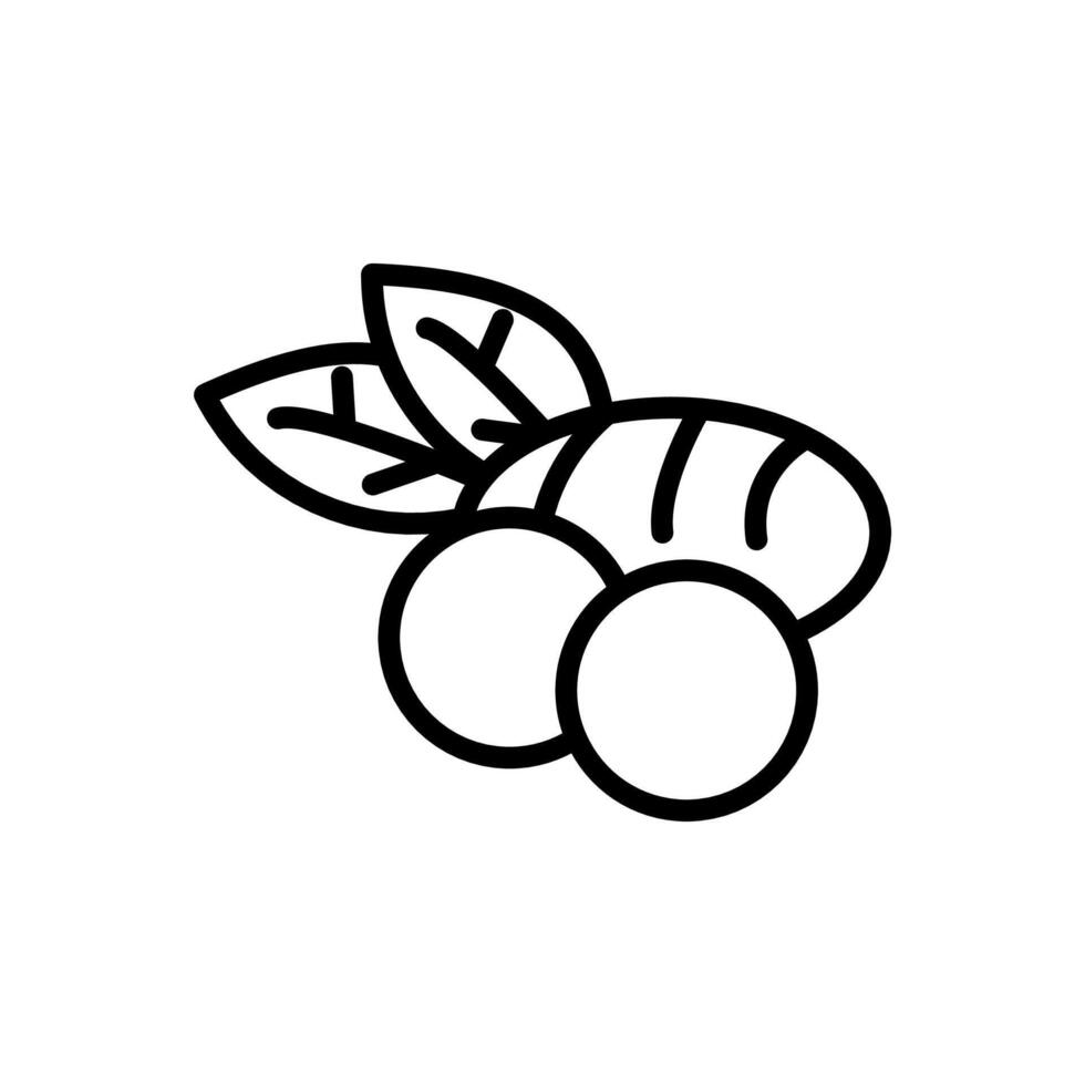 Taro Root  icon in vector. Logotype vector