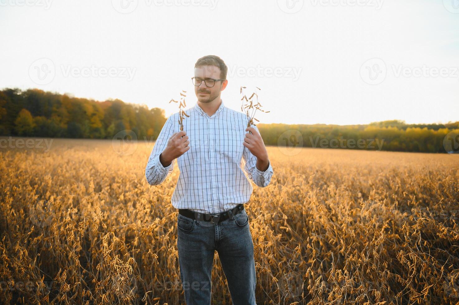 agronomist or farmer examining crop of soybeans field photo