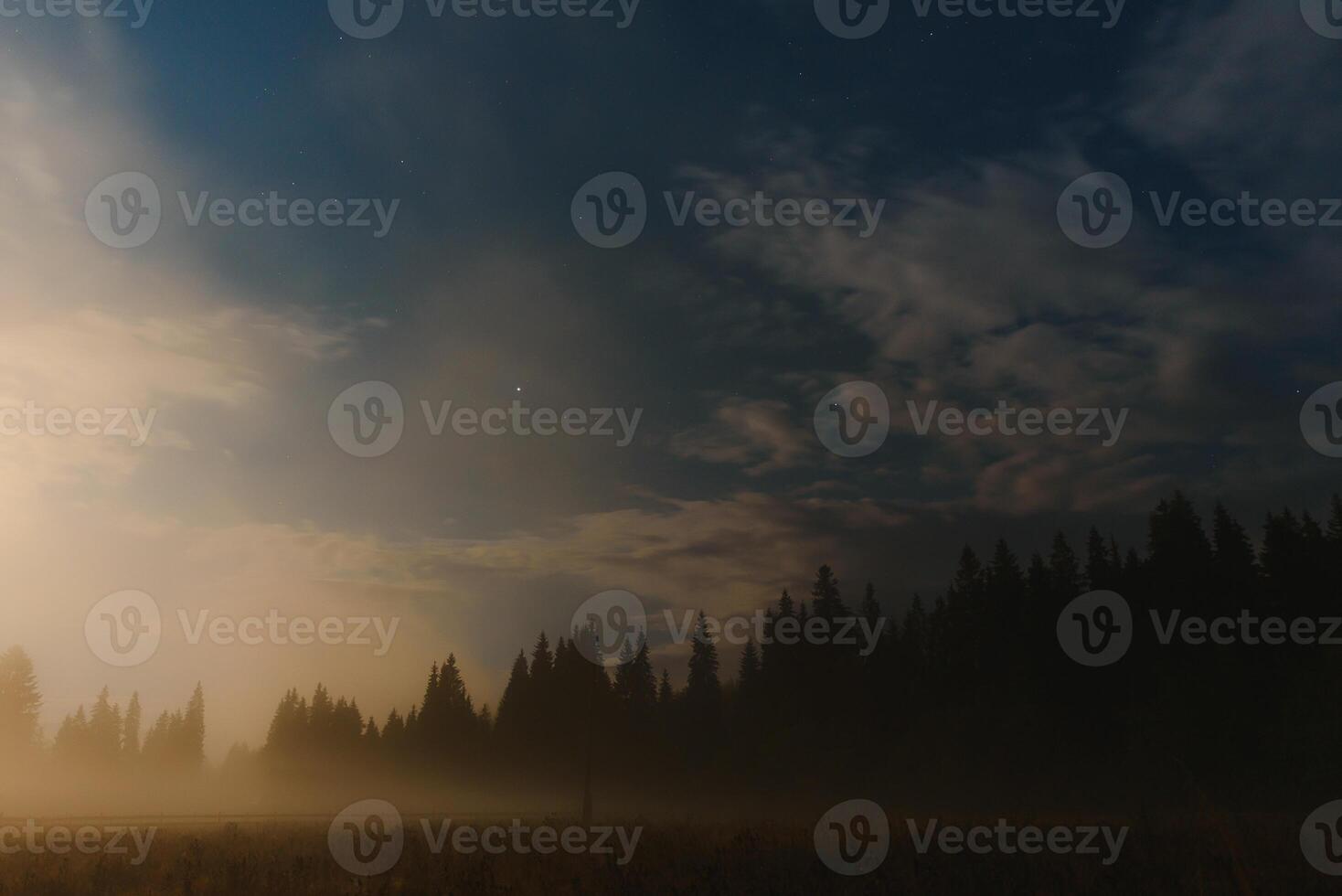 Wild forest silhouette on mountain under star night sky. Beautiful silhouettes of coniferous trees on hill in dark starry night. photo