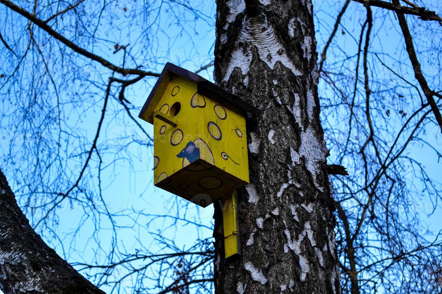 vistoso pajarera en el árbol. anidamiento caja. foto