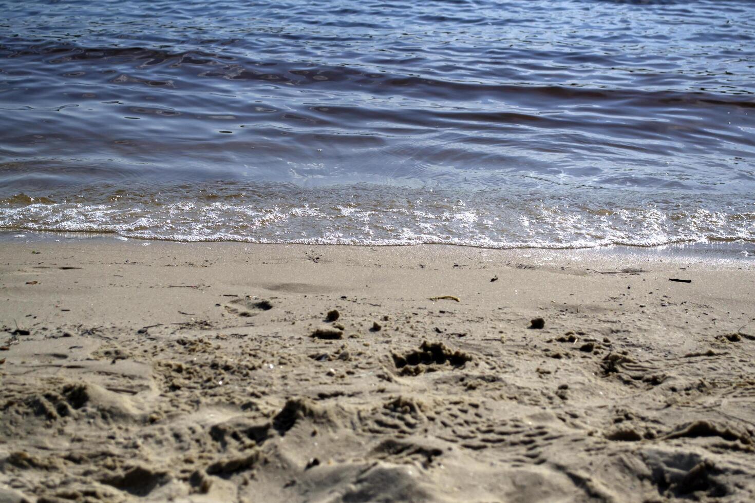 Wet sand and soft waves on a beach. photo