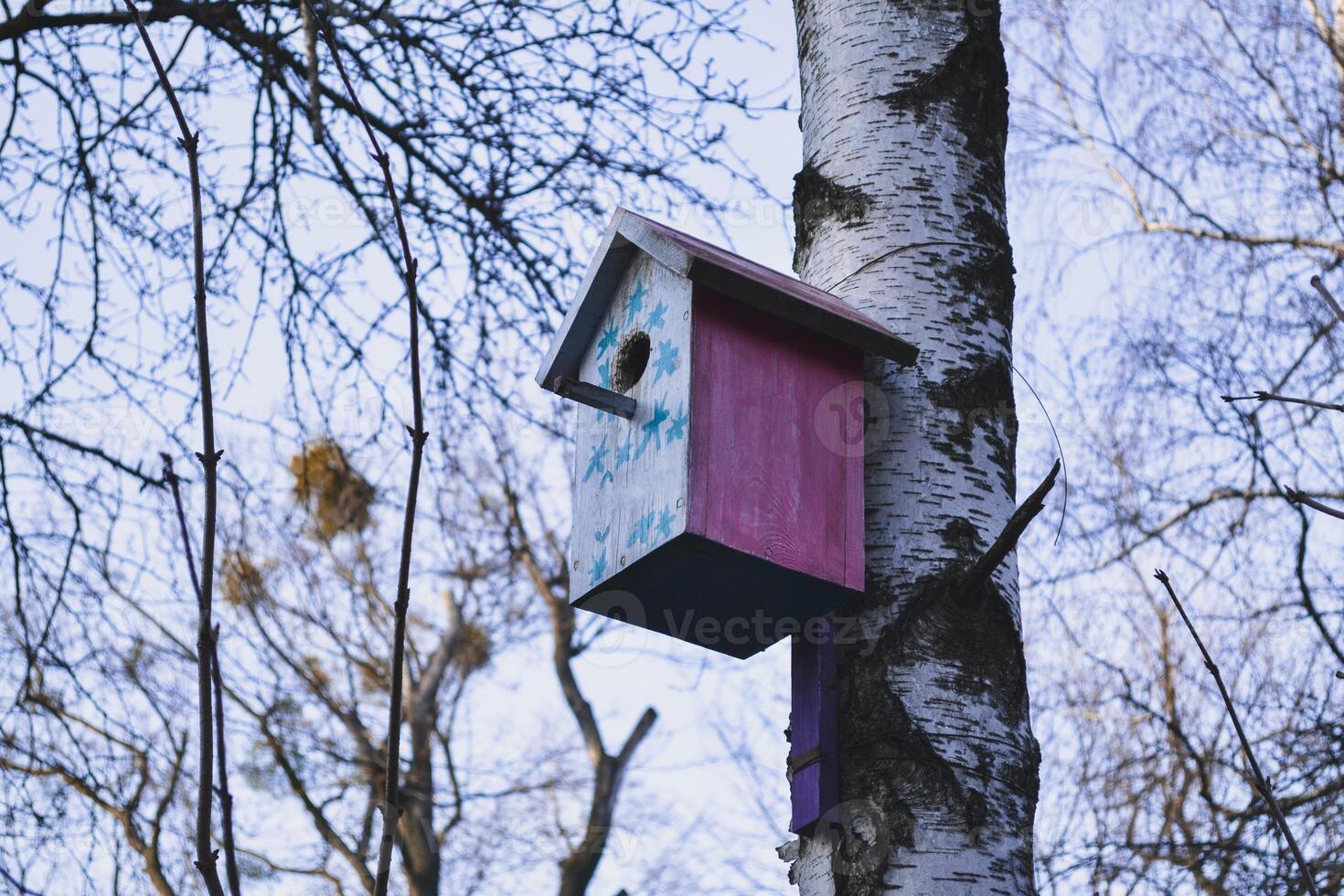 vistoso pajarera en el árbol. anidamiento caja. foto