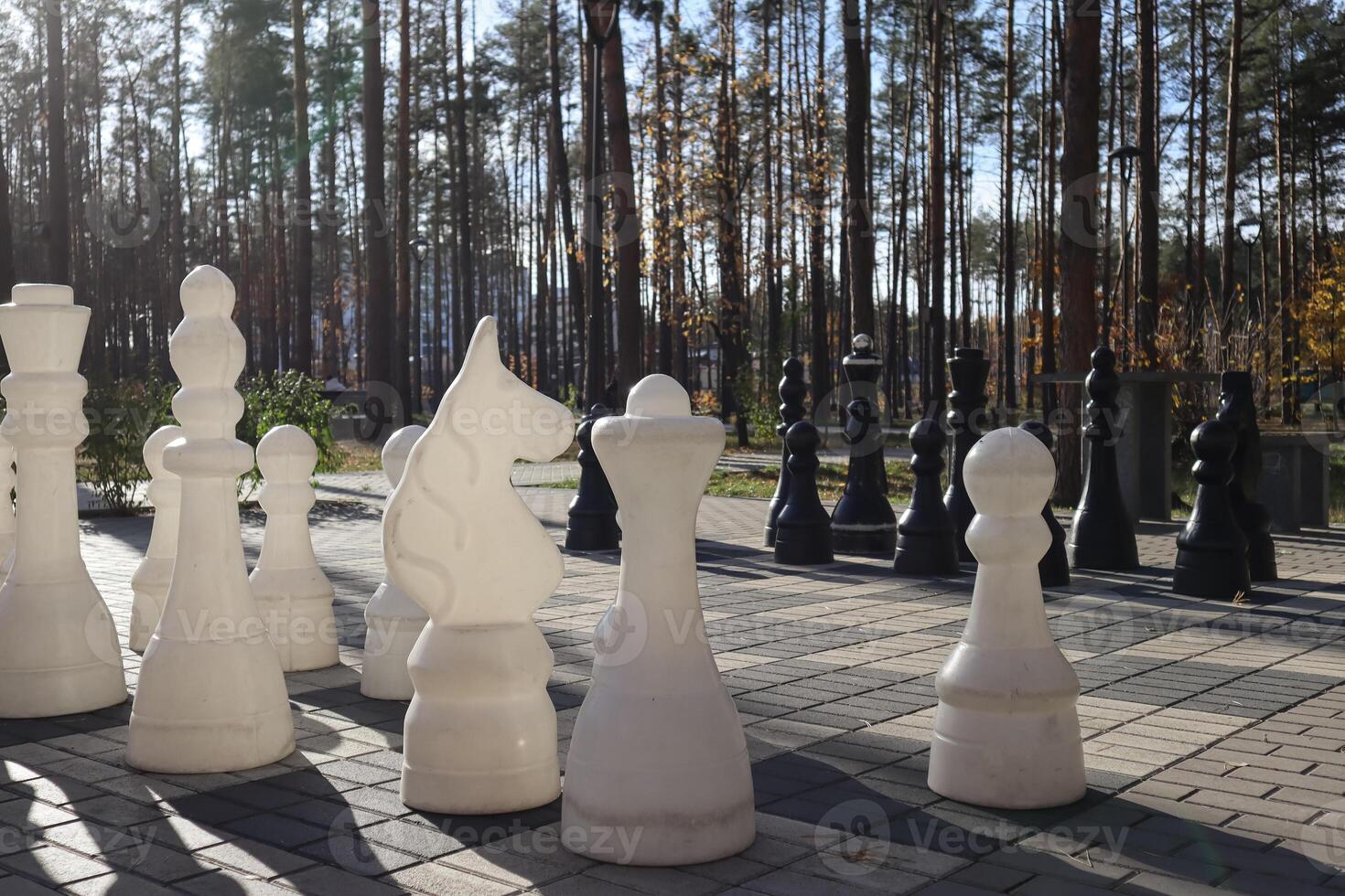 Chess board in the forest park. Big figures of chess. photo