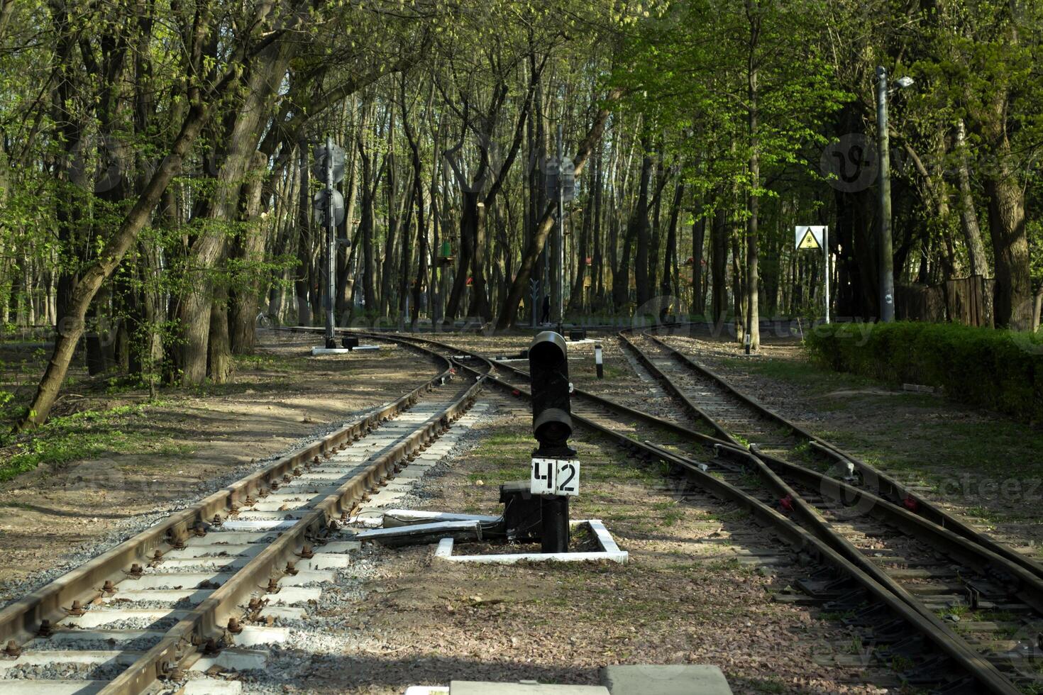 ferrocarril la carretera en un bosque. foto