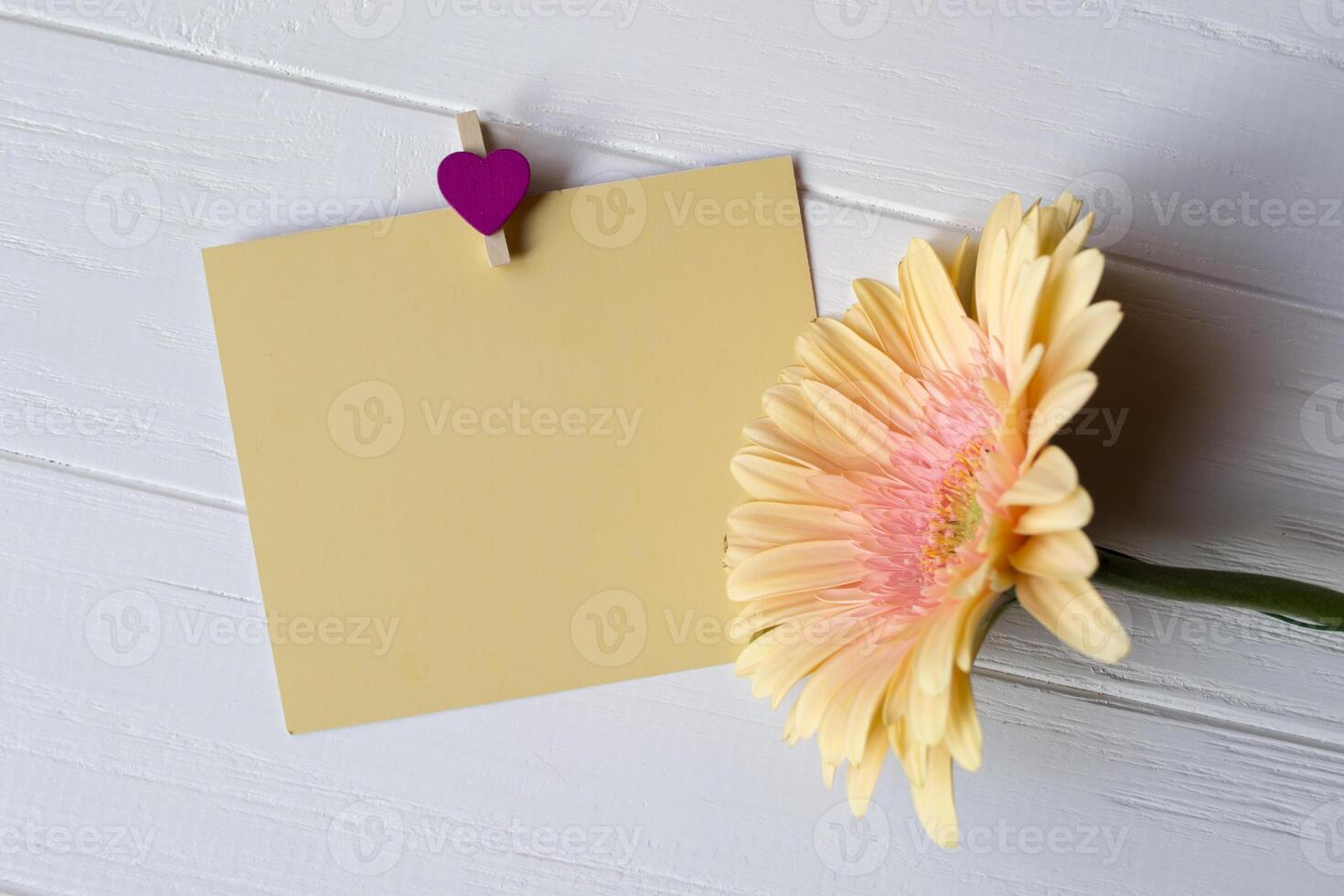 Empty paper and biege gerbera on a white wooden background. photo