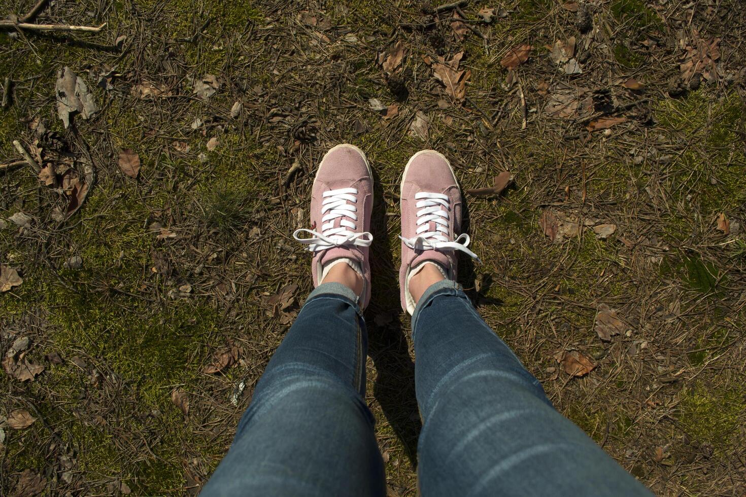 Female legs in jeans and pink sneakers standing in a ground of forest. photo