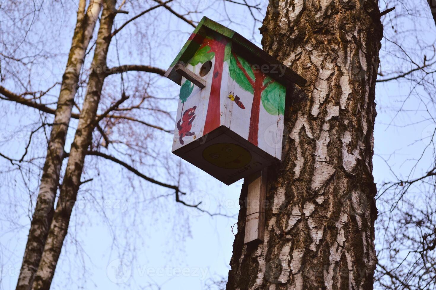 vistoso pajarera en el árbol. anidamiento caja. foto