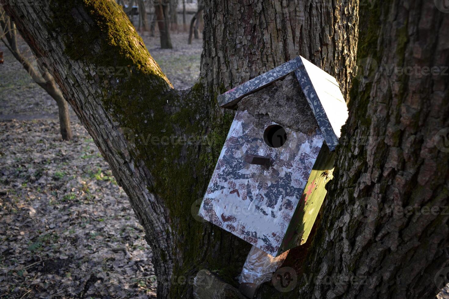 Natural birdhouse on the tree. photo