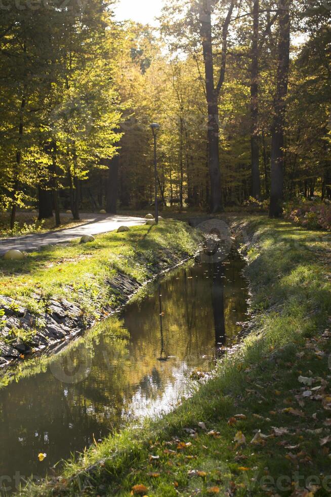 Autumn park. Yellow foliage. Beautiful and peaceful place. Autumn landscape. photo